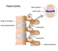 Extensor & Peroneal Tendonitis Foot